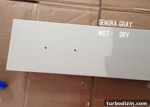 Benjamin Moore Senora Gray paint wet and dry color