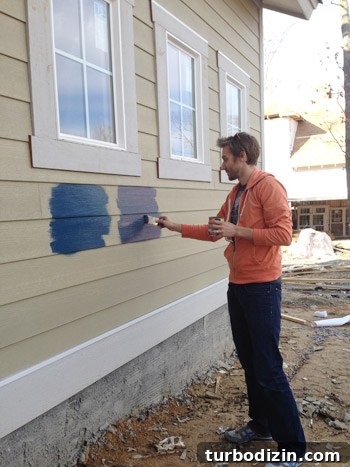 Choose the Perfect Exterior Paint Color: Expert Tips for Your Home 5 img 63352 5