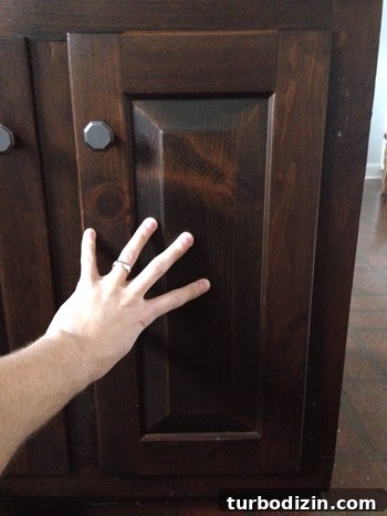 Install a Pull-Out Trash Can: Step-by-Step Cabinet Guide 15 img 63448 15