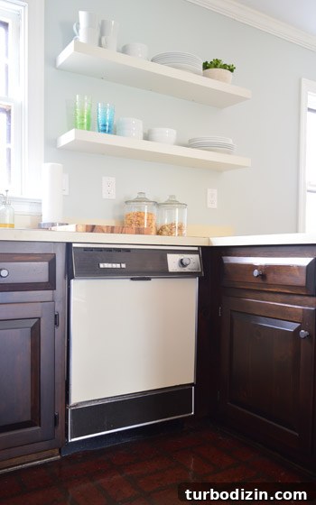 Change Your Dishwasher’s Color: Step-by-Step Guide 2 Almond dishwasher before