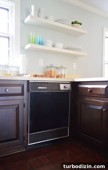 Change Your Dishwasher’s Color: Step-by-Step Guide 9 Black panel installed