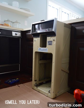 Change Your Dishwasher’s Color: Step-by-Step Guide 10 Removed compactor area