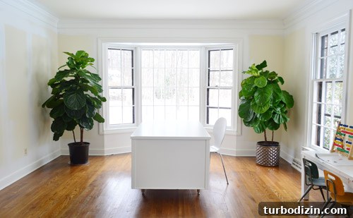 How to Repaint and Restore an Old Desk for a Fresh Look 12 img 63958 24