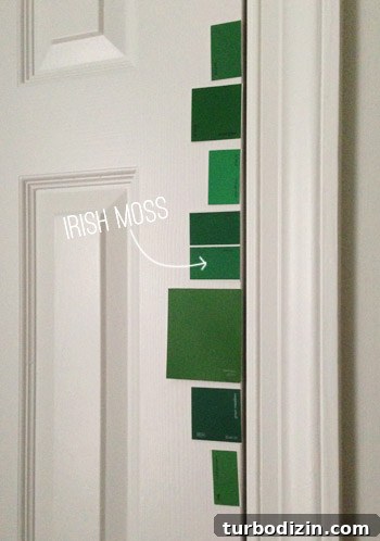 Bright Green Nursery Closet Door: Simple Painting Guide 7 img 64178 6