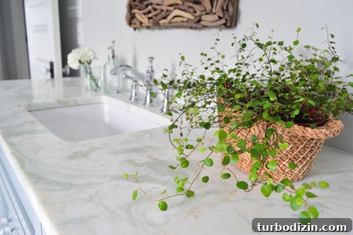 Showhouse Bathroom and Closet Tour: Design Details & Storage Tips 12 img 64265 11