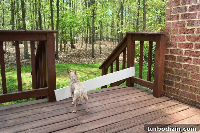 Wood Board Scrap Placed In Front Of Deck Railing To Keep Dog From Running Away