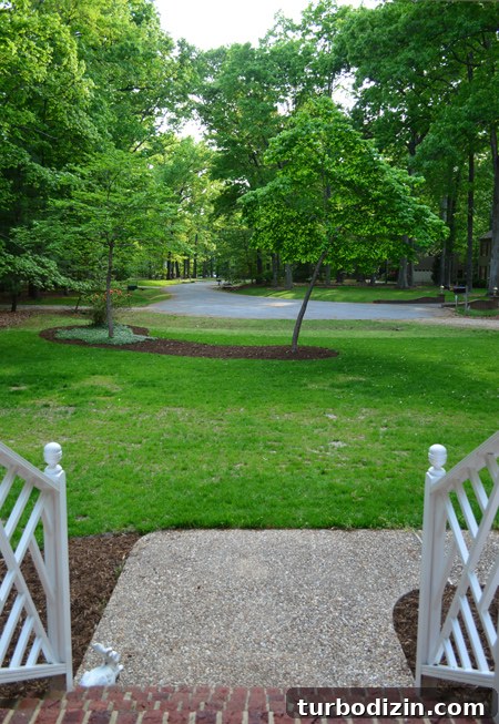 Create Mulch Planting Beds: Step-by-Step Guide for Lush Gardens 2 View From Front Door At Large Grassy Lawn With Mulch Beds Around Trees