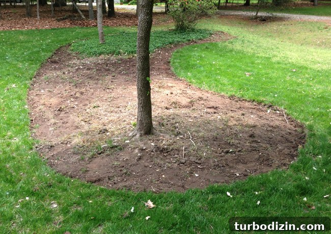 Create Mulch Planting Beds: Step-by-Step Guide for Lush Gardens 9 Dug Out Bed Around Trees Before Mulch Is Placed