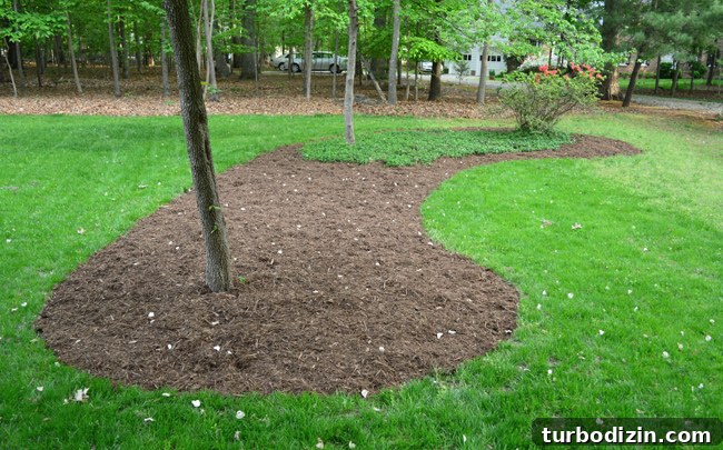 Create Mulch Planting Beds: Step-by-Step Guide for Lush Gardens 10 Mulch Bed Added Around Trees In Front Yard