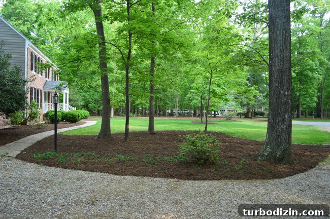 Create Mulch Planting Beds: Step-by-Step Guide for Lush Gardens 13 Large Mulch Bed Next to Driveway With Brick Colonial Home In Background
