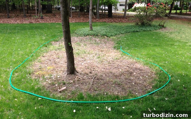 Create Mulch Planting Beds: Step-by-Step Guide for Lush Gardens 7 Mulch Beds Around Trees In Front Yard Shaped With Garden Hose Template