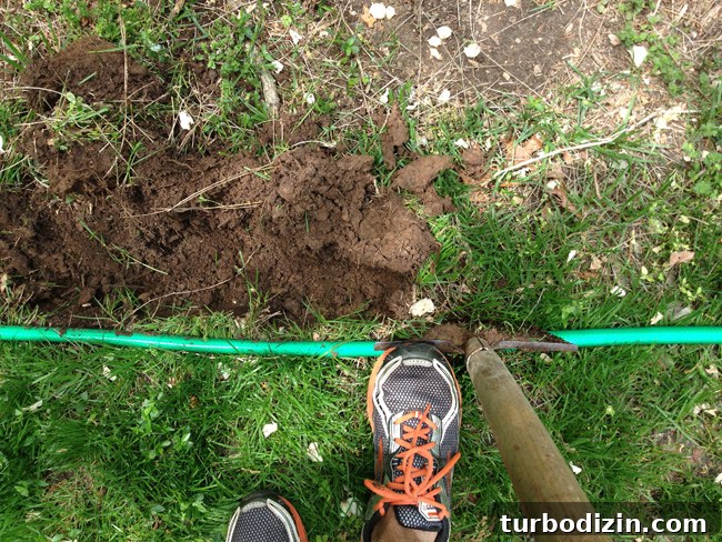Create Mulch Planting Beds: Step-by-Step Guide for Lush Gardens 8 Cutting Out Grass With Edging Shovel To Create Mulch Bed In Front Yard