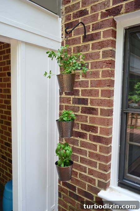 How to Paint a Garage Door and Outdoor Utility Box 10 Herb Pots Hanging From Hook On Brick Wall Off House