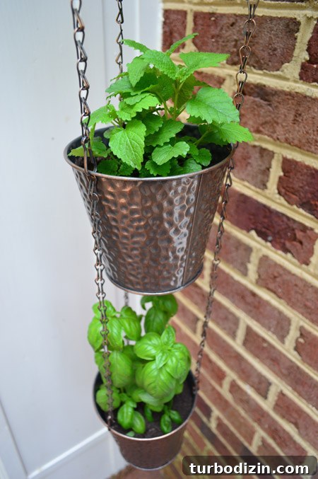 How to Paint a Garage Door and Outdoor Utility Box 11 Detail Of Herb Pots Hanging From Chain