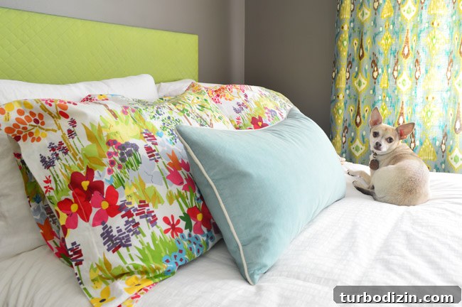 Our Top Pick for a Cozy Bedroom Paint Color 2 Chihuahua sitting on colorful bed with Sparrow Walls