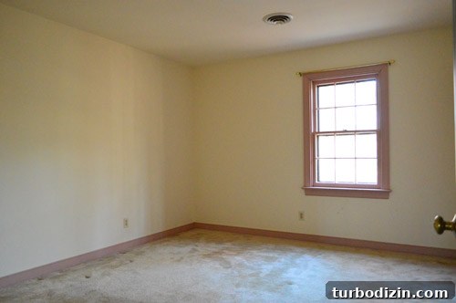 DIY Wall Decals: Step-by-Step Guide to Create Custom Designs 17 img 64729 16