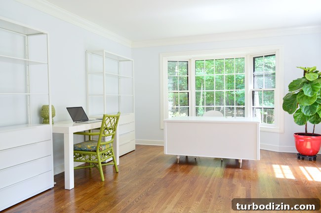 How Fjälkinge Bookshelves Transformed Our Home Office 11 img 64825 15
