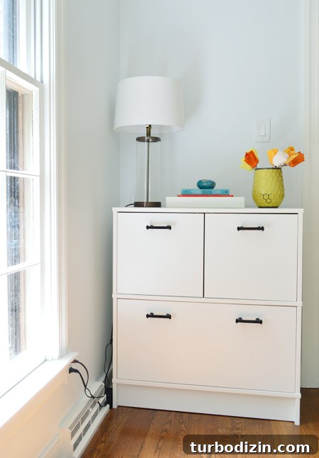 How Fjälkinge Bookshelves Transformed Our Home Office 13 img 64825 18