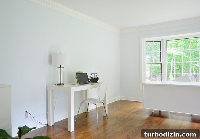 How Fjälkinge Bookshelves Transformed Our Home Office 5 img 64825 4