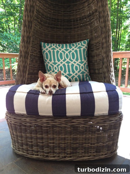 How to Choose the Perfect Egg Chair for Your Back Porch 11 img 64896 10