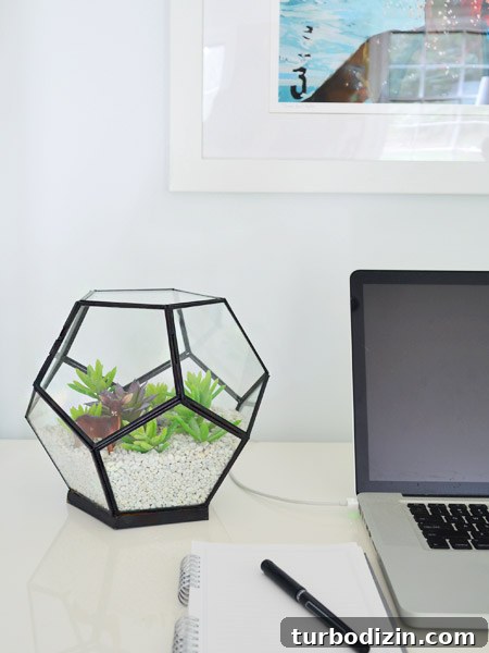 When Things Didn’t Go the Way I Expected: Lessons Learned 10 Terrarium with faux succulents