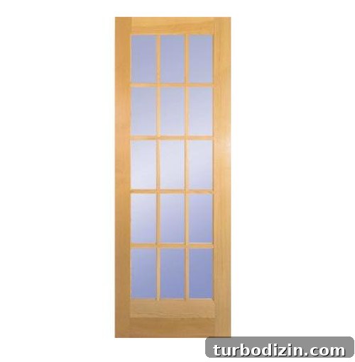 Glass door in stock at Home Depot