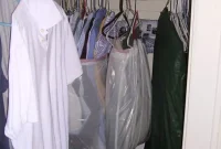 How to Eliminate Bed Bugs at Home: Proven Treatment Steps