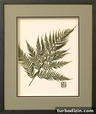 austral-fern-authentic-preserved-botanical austral-fern-authentic-preserved-botanical