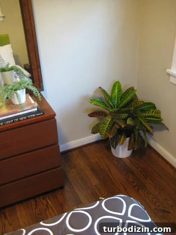 fire-plant-in-the-corner fire-plant-in-the-corner