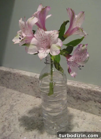plastic-bottle-vase plastic-bottle-vase