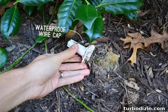 How to Install Indoor Uplighting for Your Home 7 LandscapeLights-WaterproofCap-Daytime