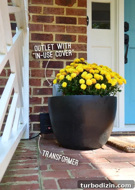 How to Install Indoor Uplighting for Your Home 8 LandscapeLights-Transformer-Daytime