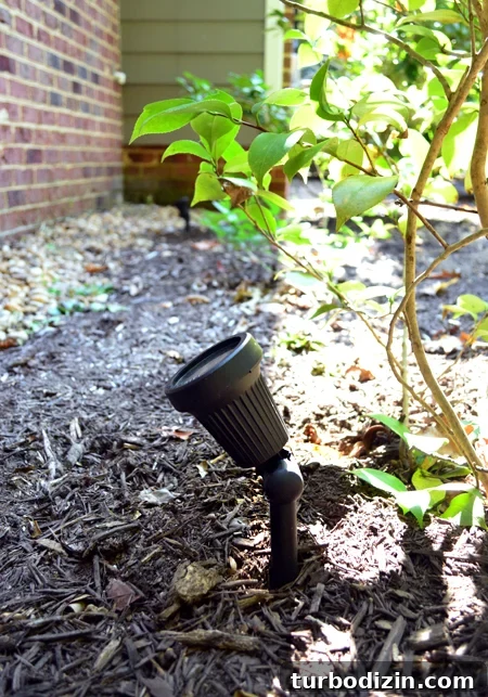 How to Install Indoor Uplighting for Your Home 9 LandscapeLights-UpClose-Daytime