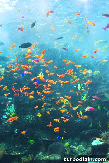 Discover Georgia Aquarium: Visitor Guide, Tickets & Top Exhibits 16 georgia aquarium colorful tropical fish