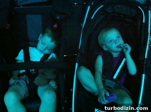 Discover Georgia Aquarium: Visitor Guide, Tickets & Top Exhibits 20 georgia aquarium toddlers napping in strollers