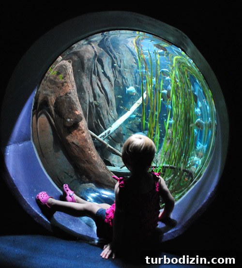 Discover Georgia Aquarium: Visitor Guide, Tickets & Top Exhibits 5 georgia aquarium toddler viewing fish