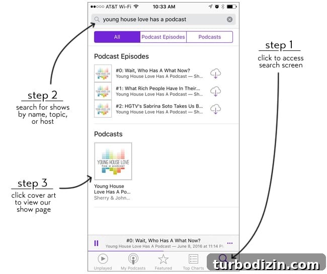 Holy Cats — Our New Podcast Launch and What to Expect 4 PodcastStep1Step2Step3Rev