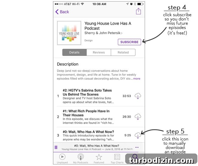 Holy Cats — Our New Podcast Launch and What to Expect 5 PodcastStep4Step5Rev