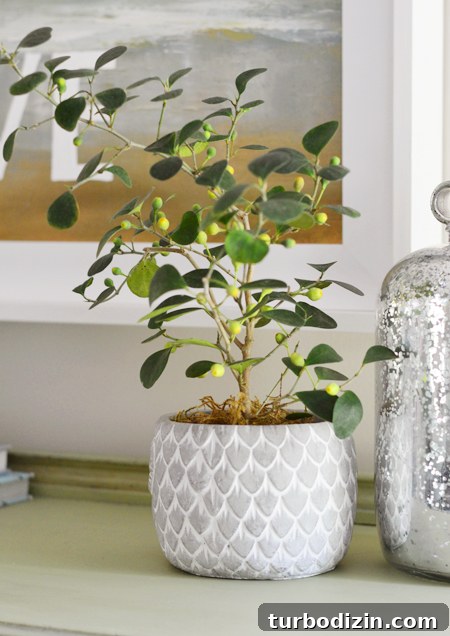 Podcast003Planter