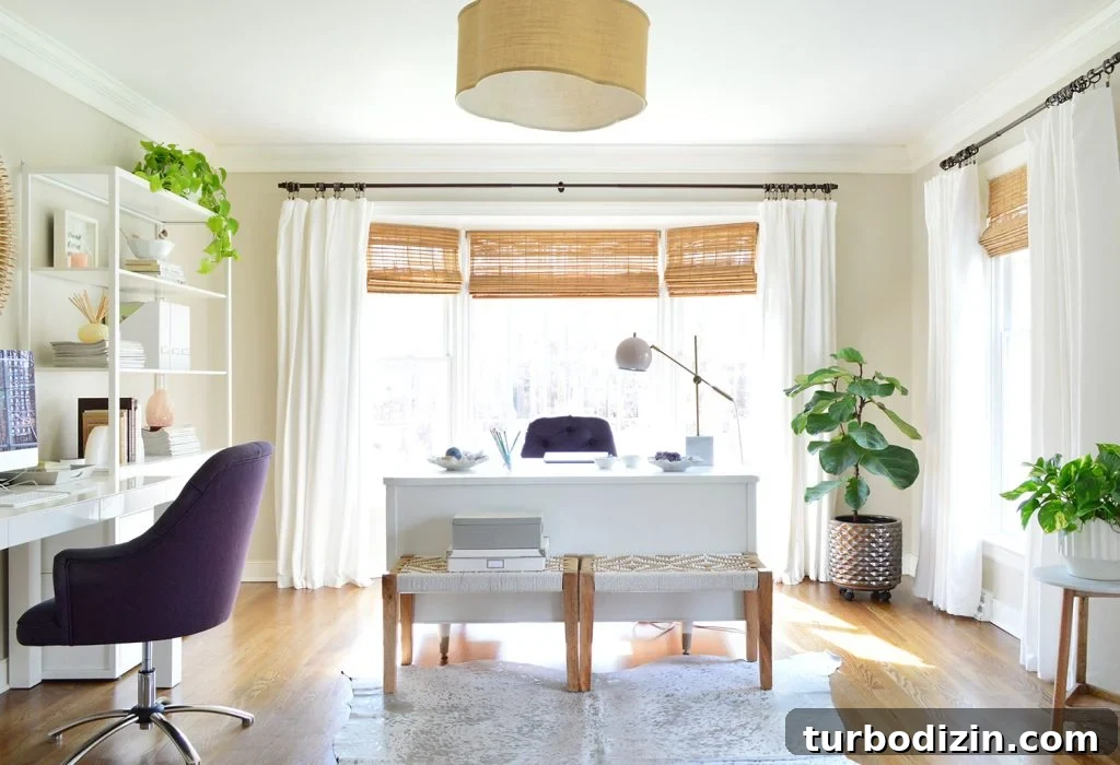 Fiddle Leaf Fig Care Guide: How to Water, Light, and Prune for Growth 4 Home Office With Large Fiddle Leaf Fig Tree In Corner