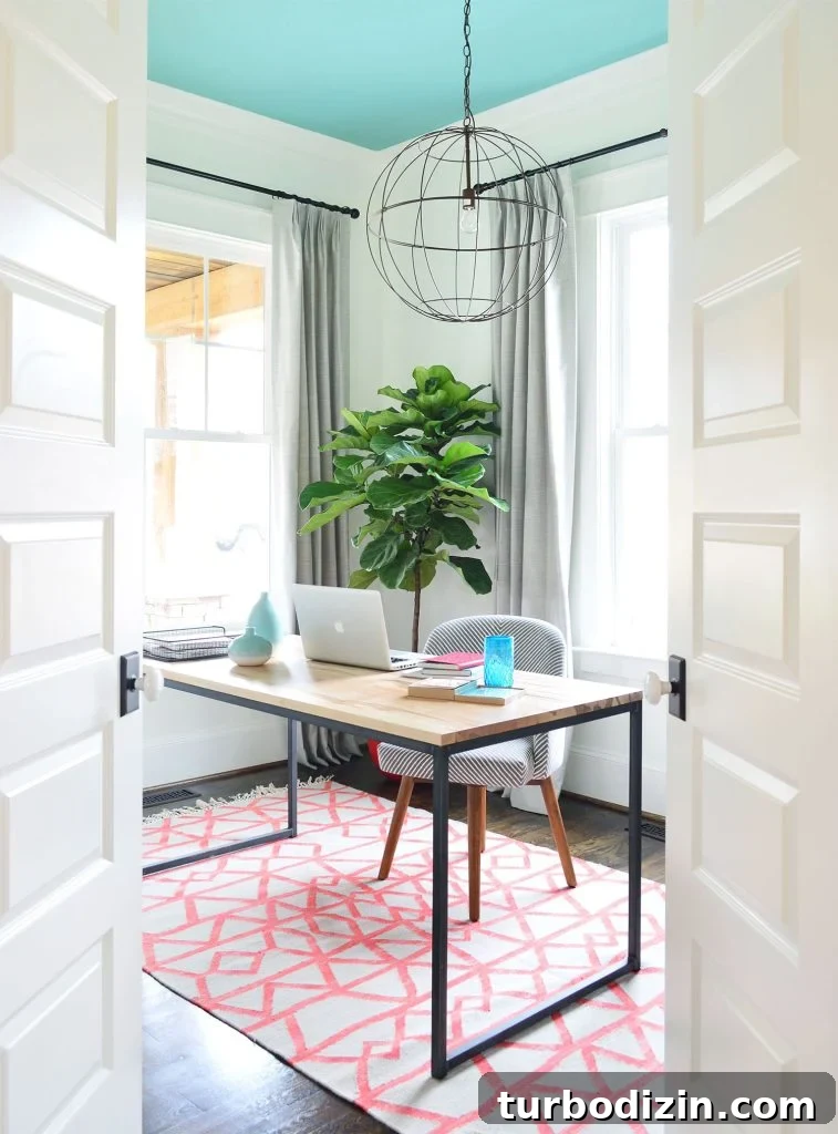 Fiddle Leaf Fig Care Guide: How to Water, Light, and Prune for Growth 5 img 77610 4