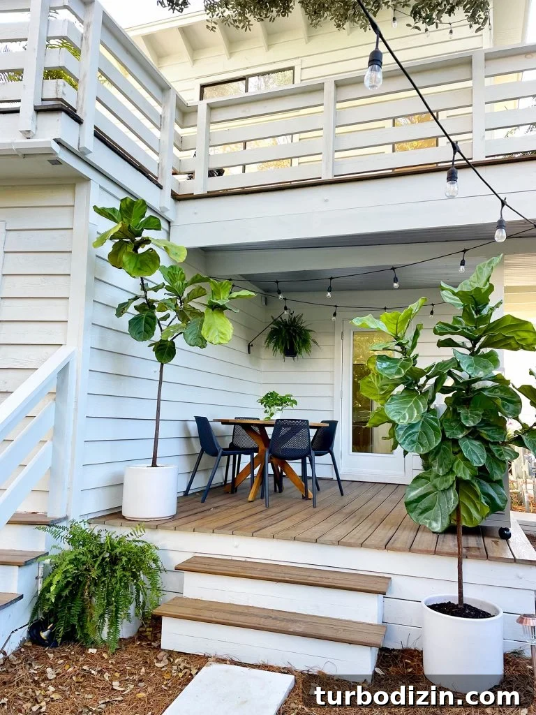 Fiddle Leaf Fig Care Guide: How to Water, Light, and Prune for Growth 6 img 77610 5