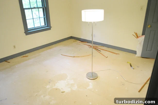 EvolutionGirlsRoom-Ripping-Up-Carpet