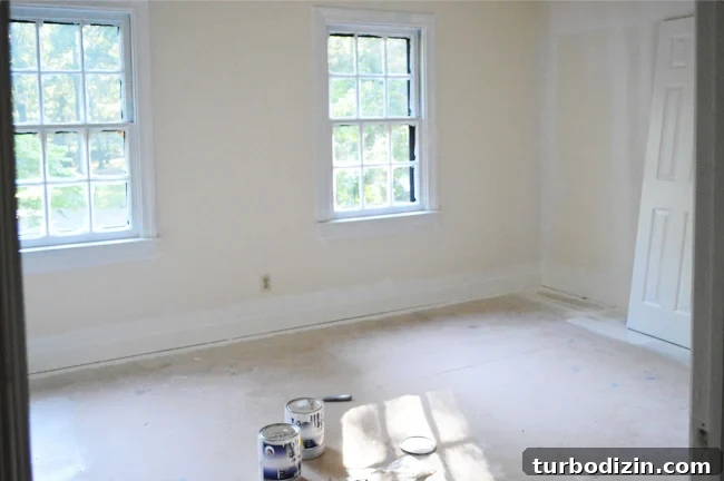EvolutionGirlsRoom-PaintingTrim