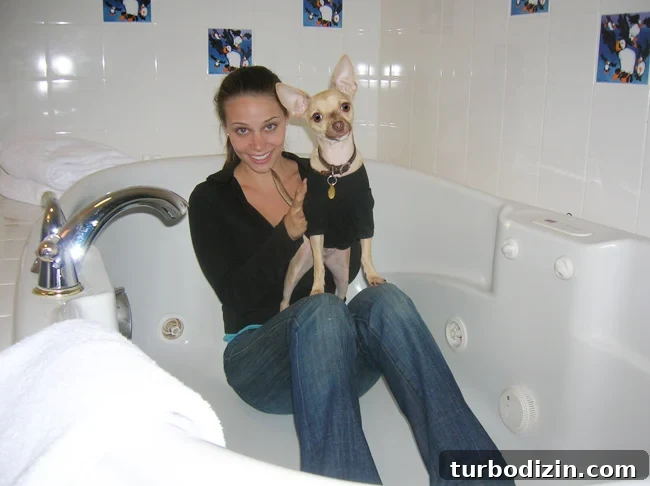 Genevieve Gorder Tackles Home Decorating Dilemmas in Season 9 3 Ep9-HoneymoonHotTub