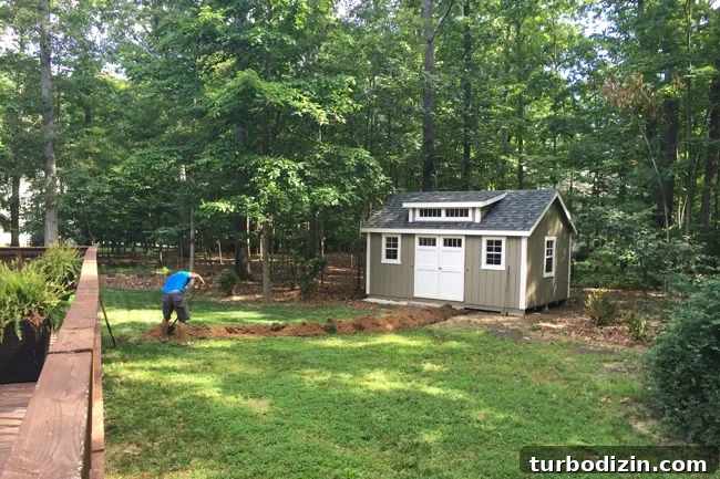 Our New Shed Is Trying to Kill Us — What’s Really Happening 2 Shed-Electrical-Digging-Trench
