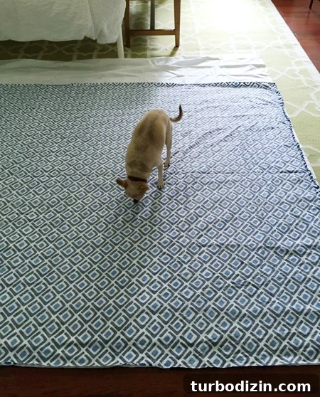 Split One Duvet Cover Into Two: DIY Guide for Dual Use 5 Split-Duvet-Laid-On-Ground-Chihuahua-Inspecting