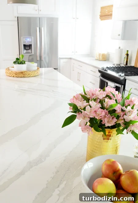 white-kitchen-remodel-final-brittanica-pattern-detail