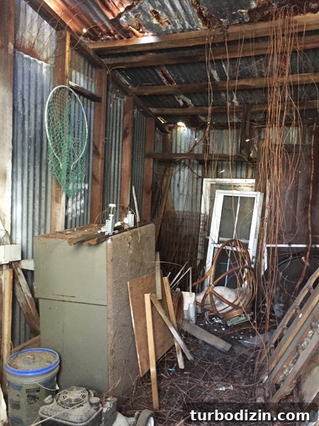 How to Stay Focused When You Want to Renovate Everything 6 ep27-beach-house-shed-inside
