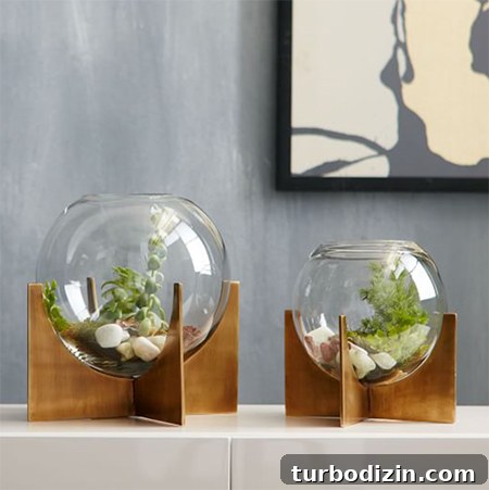 Home Essentials Currently on Big Sale — Deals You Shouldn’t Miss 14 brass-terrarium-bowl-decor-sale-chic